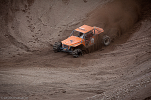 Martin Michaelsen, Insane