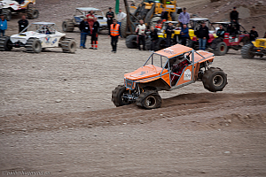 Martin Michaelsen, Insane