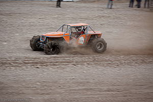 Martin Michaelsen, Insane