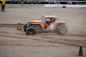 Martin Michaelsen, Insane