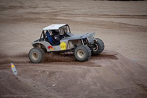 Arne Larsson, Gremlin