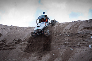 Torbjörn Eriksson, T-Rex