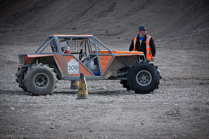 Martin Michaelsen, Insane