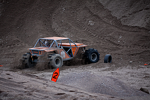 Martin Michaelsen, Insane