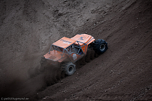 Martin Michaelsen, Insane