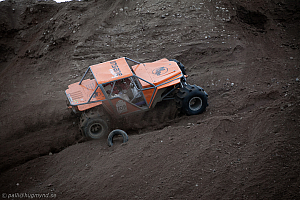 Martin Michaelsen, Insane