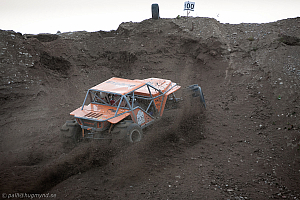 Martin Michaelsen, Insane