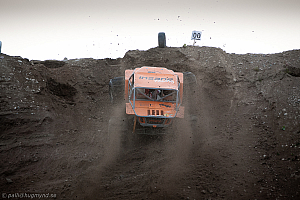 Martin Michaelsen, Insane