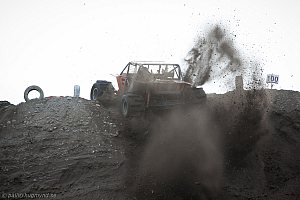 Martin Michaelsen, Insane