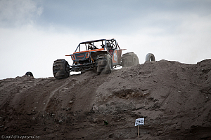 Martin Michaelsen, Insane