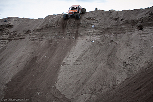 Martin Michaelsen, Insane