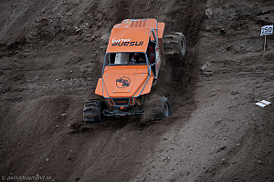 Martin Michaelsen, Insane