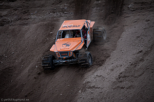 Martin Michaelsen, Insane