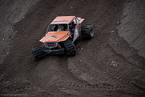 Martin Michaelsen, Insane