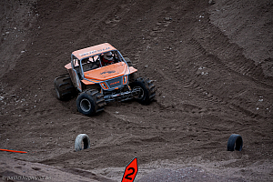 Martin Michaelsen, Insane