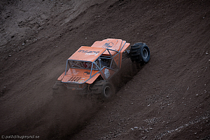 Martin Michaelsen, Insane