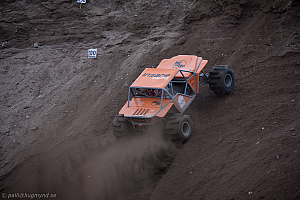 Martin Michaelsen, Insane