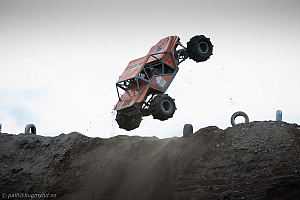 Martin Michaelsen, Insane