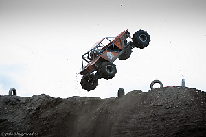 Martin Michaelsen, Insane