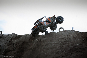 Martin Michaelsen, Insane