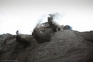 Martin Michaelsen, Insane