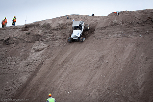 Tommi Löytynoja, Big Willys