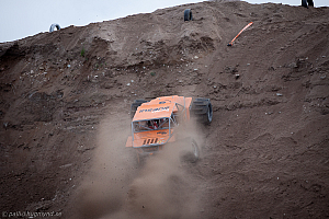 Martin Michaelsen, Insane