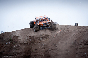 Martin Michaelsen, Insane