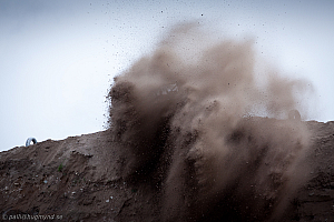 Martin Michaelsen, Insane