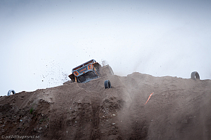 Martin Michaelsen, Insane