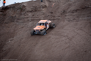 Martin Michaelsen, Insane