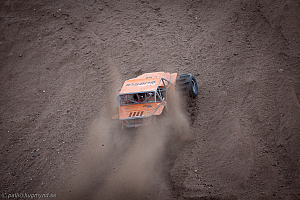 Martin Michaelsen, Insane