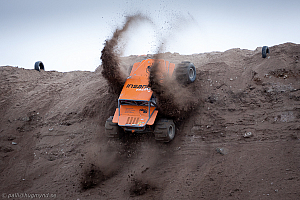 Martin Michaelsen, Insane