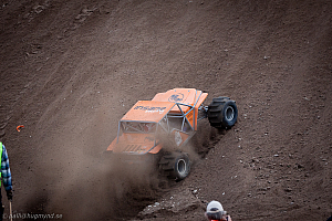 Martin Michaelsen, Insane