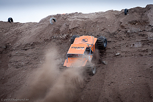 Martin Michaelsen, Insane