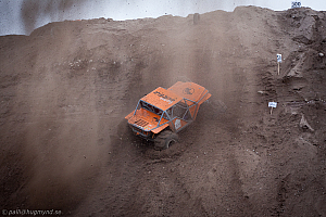 Martin Michaelsen, Insane