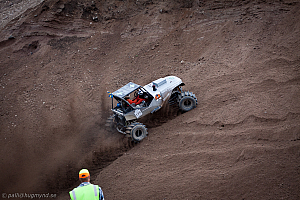 Torbjörn Eriksson, T-Rex