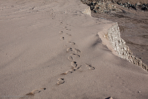 Platsen för NEZ 1&2 2012