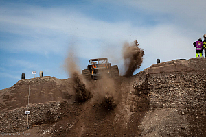 Martin Michaelsen,  Insane