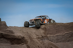 Martin Michaelsen,  Insane