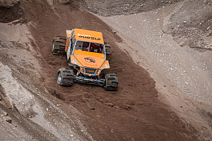 Martin Michaelsen,  Insane