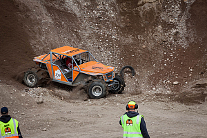 Martin Michaelsen,  Insane