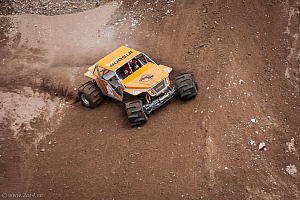 Martin Michaelsen,  Insane