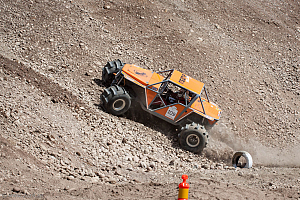 Martin Michaelsen, Insane