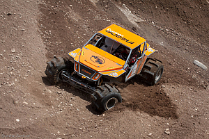 Martin Michaelsen, Insane