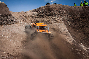 Martin Michaelsen, Insane