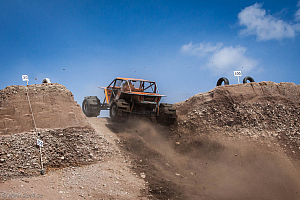 Martin Michaelsen, Insane