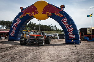 Martin Michaelsen, Insane