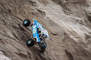 Bjarki Reynirsson,The Animal