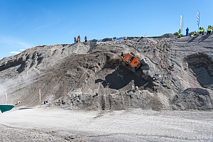 Martin Michaelsen, Insane